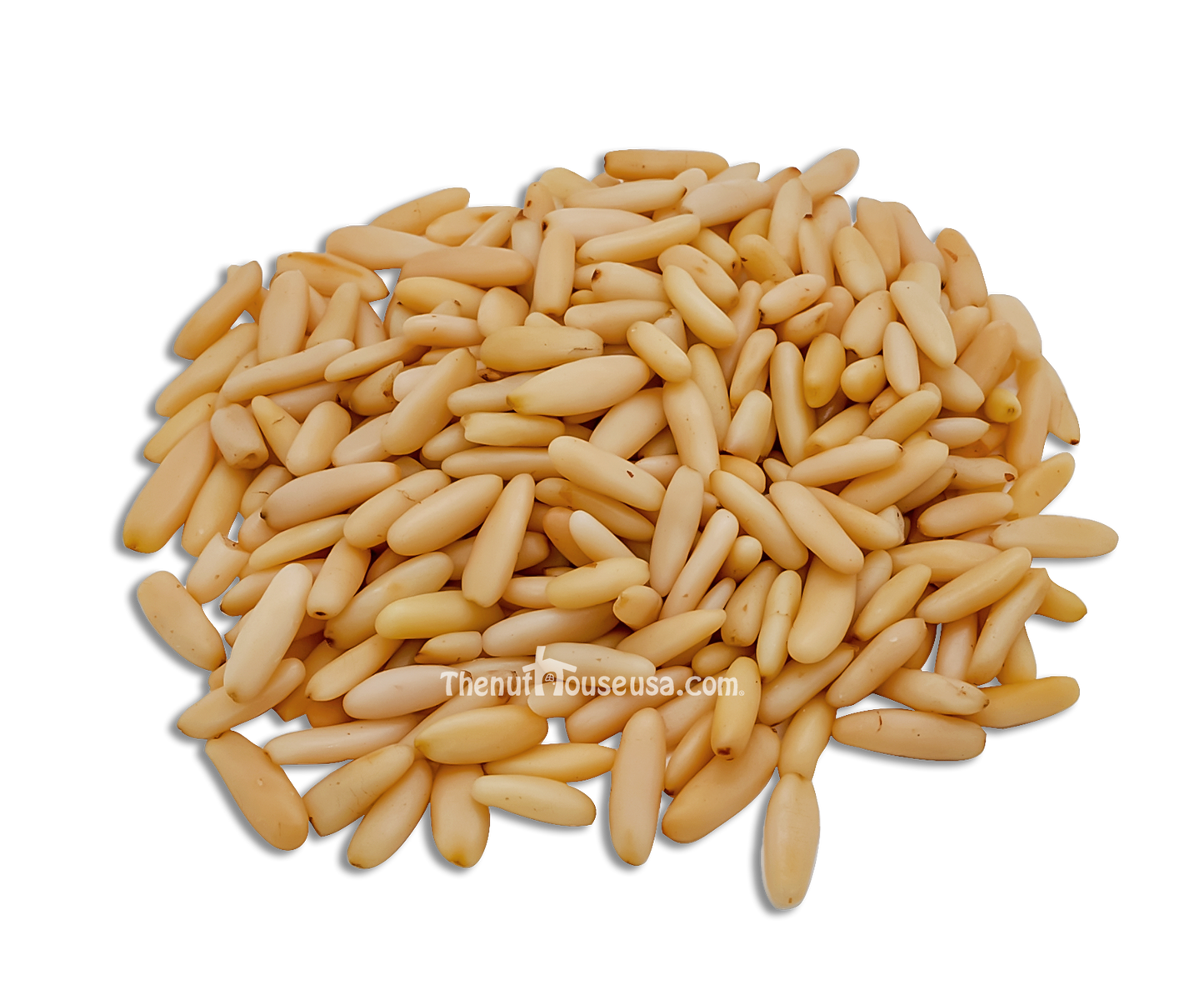 Authentic Pakistani Baladi Pine Nuts